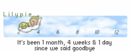 Above, a digital memorial to pregnancy lost to miscarriage. Source: “Pregnancy Message Boards” 