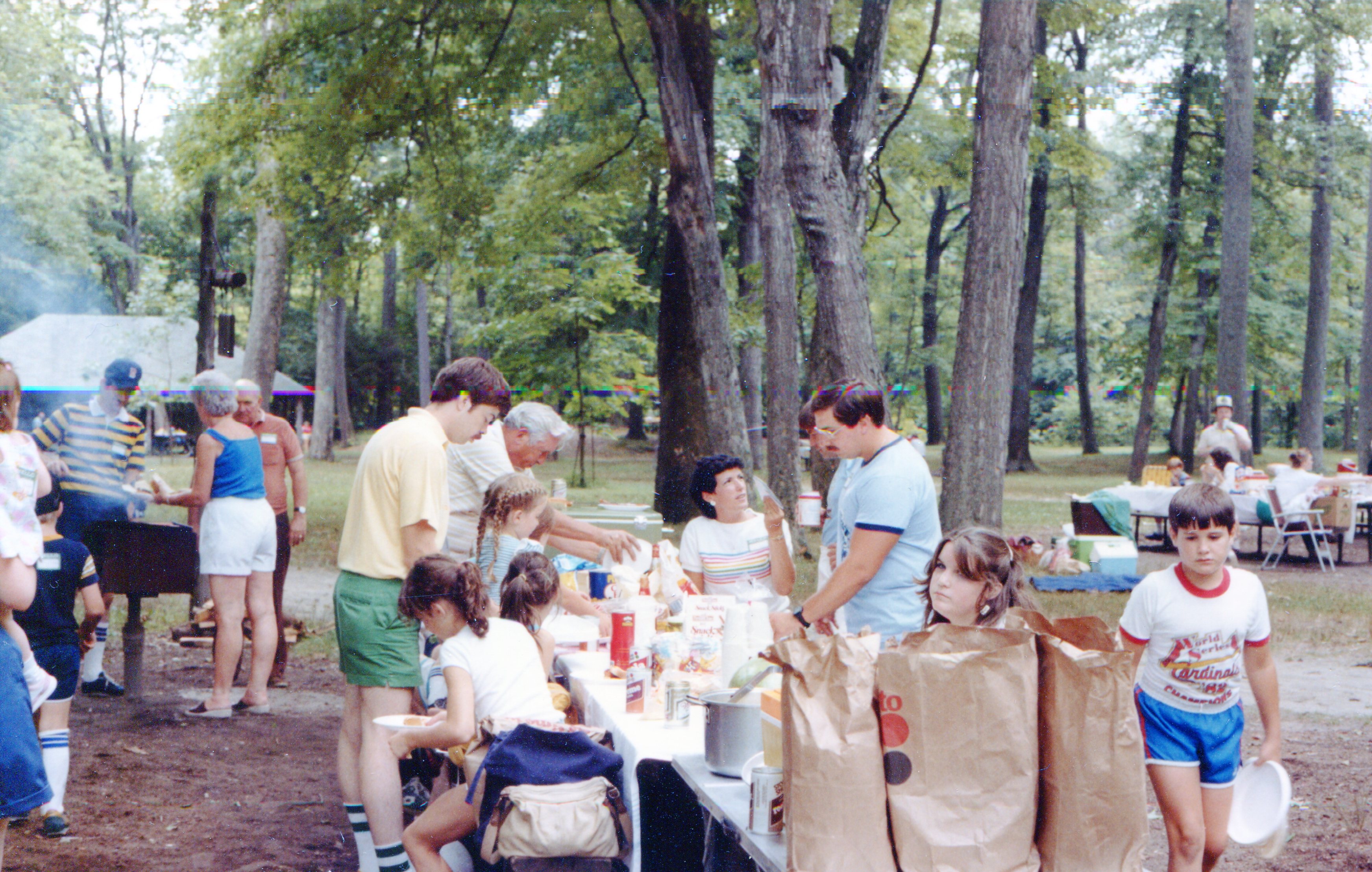 family picnic scene