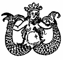 Twin Tailed Mermaid